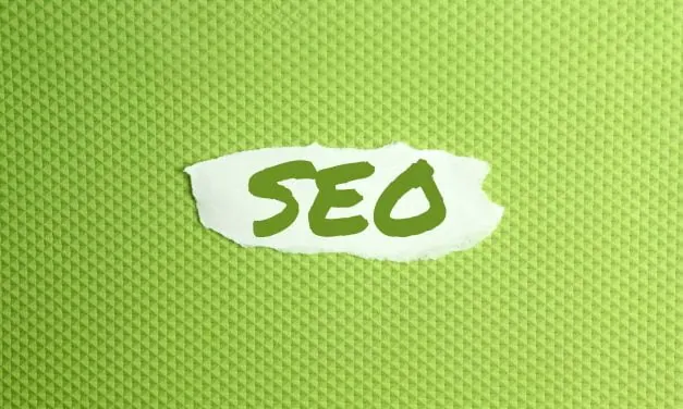 How A Professional Writer Can Boost Traffic To Your Blog